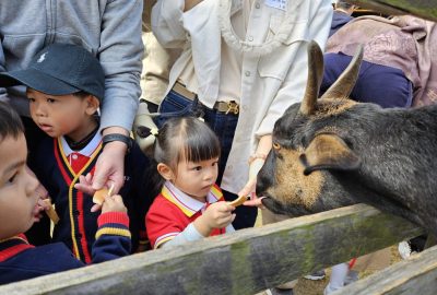 20241213_105758-scaled