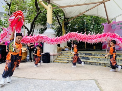 龍獅隊 Dragon lion dance